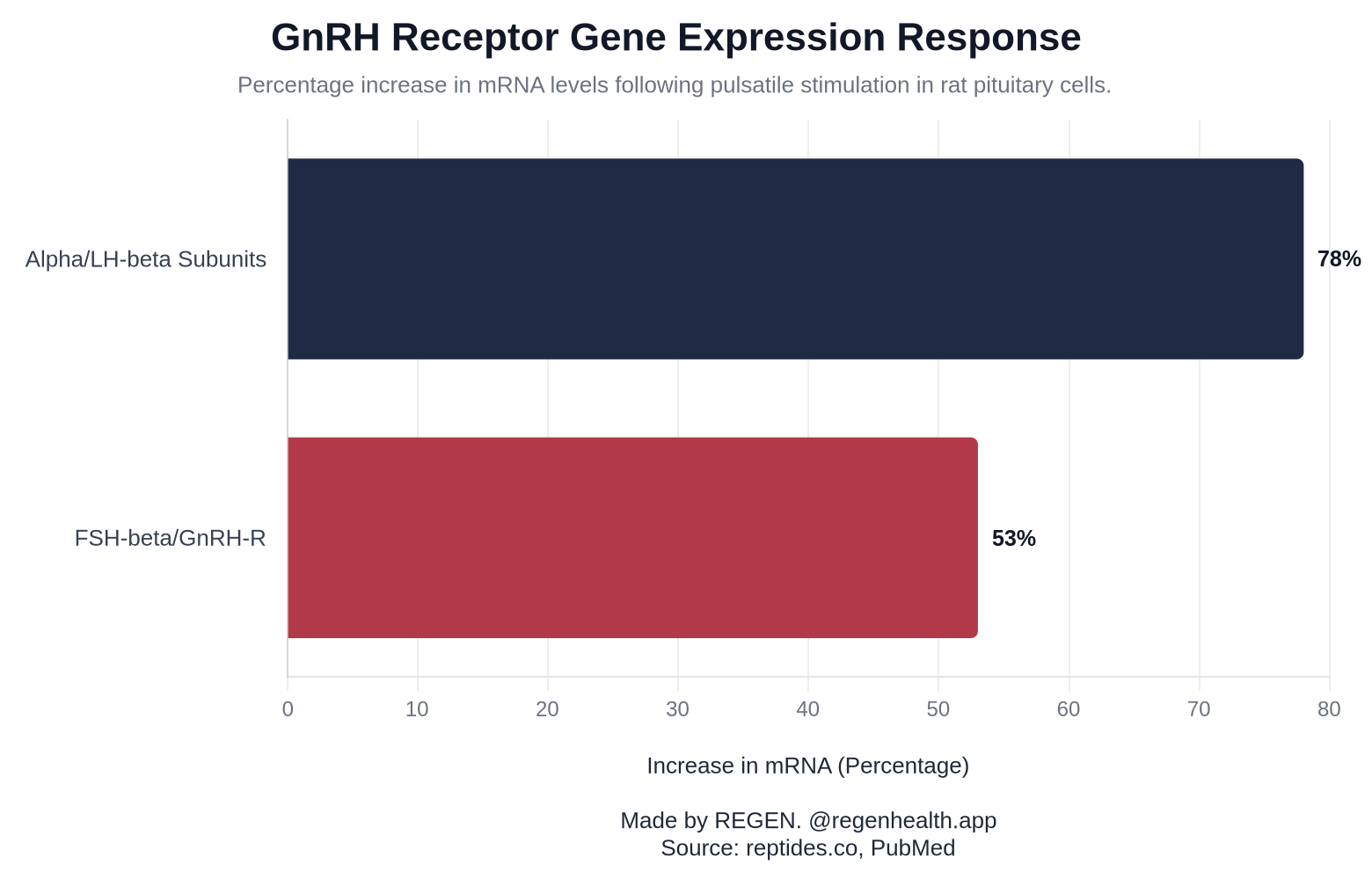 GnRH Receptor Gene Expression Response