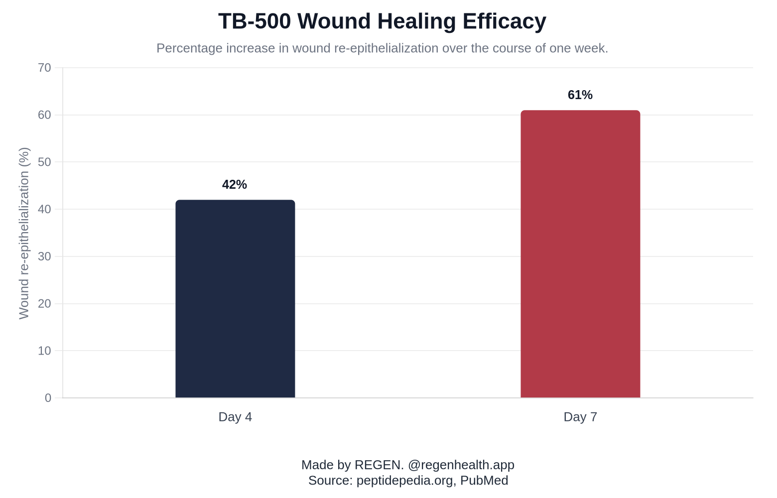 TB-500 Wound Healing Efficacy