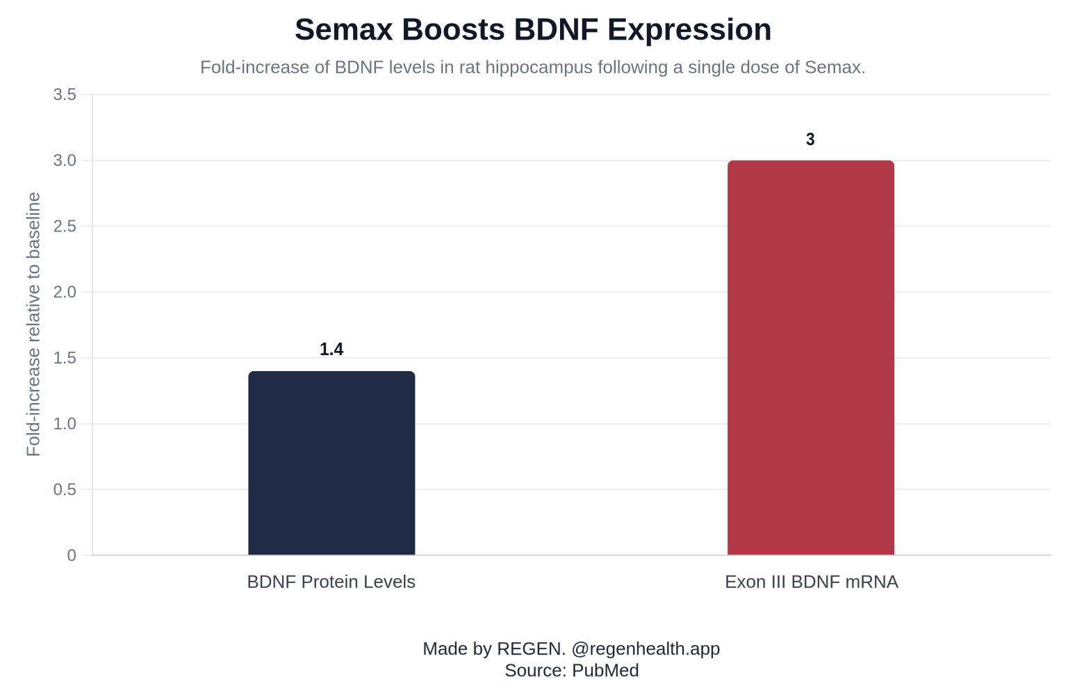 Semax Boosts BDNF Expression